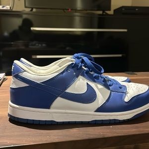 Kentucky Nike Dunks